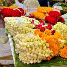 images_original_copy_2