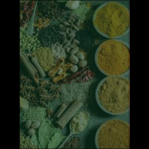 masala_original_copy_2_copy_1